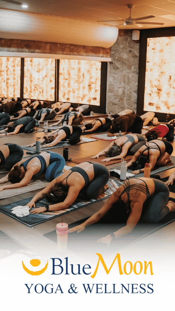 Blue Moon Yoga Advine's professional image captures a full class at Blue Moon Yoga & Wellness in a low child's pose, emphasizing the serene, communal atmosphere of the yoga and wellness studio.
